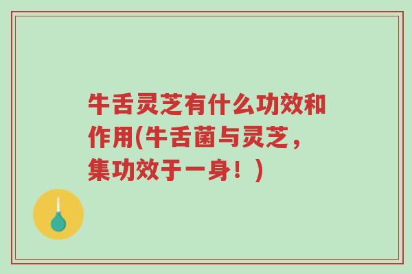 牛舌灵芝有什么功效和作用(牛舌菌与灵芝,集功效于一身!)-第1张图片-超越 牛舌灵芝有什么功效和作用(牛舌菌与灵芝,集功效于一身!)-第1张图片-超越