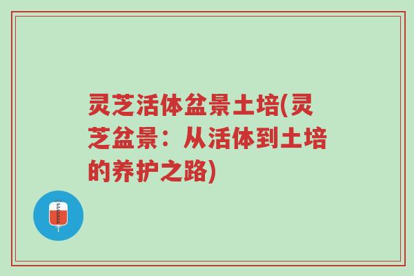 灵芝活体盆景土培(灵芝盆景:从活体到土培的养护之路)-第1张图片-超越 灵芝活体盆景土培(灵芝盆景:从活体到土培的养护之路)-第1张图片-超越