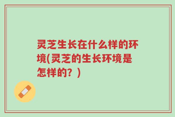 灵芝生长在什么样的环境(灵芝的生长环境是怎样的?)-第1张图片-超越 灵芝生长在什么样的环境(灵芝的生长环境是怎样的?)-第1张图片-超越