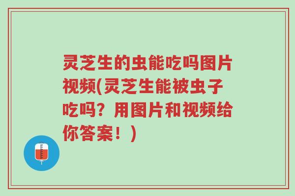 灵芝生的虫能吃吗图片视频(灵芝生能被虫子吃吗?用图片和视频给你答案!)-第1张图片-超越 灵芝生的虫能吃吗图片视频(灵芝生能被虫子吃吗?用图片和视频给你答案!)-第1张图片-超越