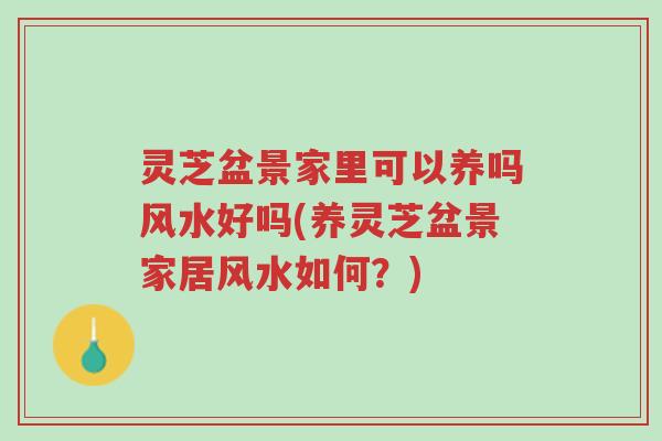 灵芝盆景家里可以养吗风水好吗(养灵芝盆景家居风水如何?)-第1张图片-超越 灵芝盆景家里可以养吗风水好吗(养灵芝盆景家居风水如何?)-第1张图片-超越
