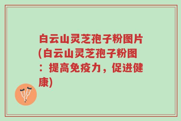 白云山灵芝孢子粉图片(白云山灵芝孢子粉图:提高免疫力,促进健康)-第1张图片-超越 白云山灵芝孢子粉图片(白云山灵芝孢子粉图:提高免疫力,促进健康)-第1张图片-超越