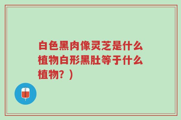 白色黑肉像灵芝是什么植物白形黑肚等于什么植物?)-第1张图片-超越 白色黑肉像灵芝是什么植物白形黑肚等于什么植物?)-第1张图片-超越