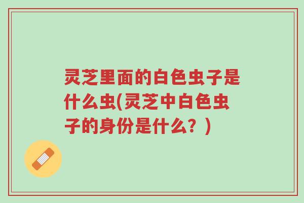 灵芝里面的白色虫子是什么虫(灵芝中白色虫子的身份是什么?)-第1张图片-超越 灵芝里面的白色虫子是什么虫(灵芝中白色虫子的身份是什么?)-第1张图片-超越