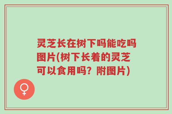 灵芝长在树下吗能吃吗图片(树下长着的灵芝可以食用吗?附图片)-第1张图片-超越 灵芝长在树下吗能吃吗图片(树下长着的灵芝可以食用吗?附图片)-第1张图片-超越