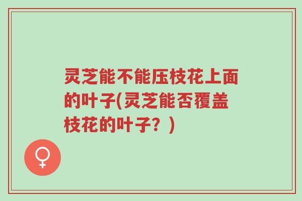 灵芝能不能压枝花上面的叶子(灵芝能否覆盖枝花的叶子?)-第1张图片-超越 灵芝能不能压枝花上面的叶子(灵芝能否覆盖枝花的叶子?)-第1张图片-超越