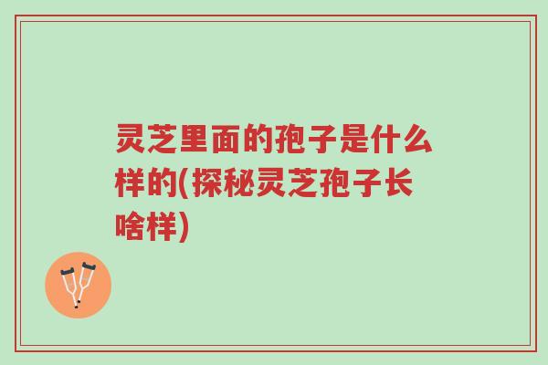 灵芝里面的孢子是什么样的(探秘灵芝孢子长啥样)-第1张图片-超越 灵芝里面的孢子是什么样的(探秘灵芝孢子长啥样)-第1张图片-超越