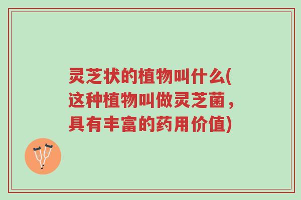 灵芝状的植物叫什么(这种植物叫做灵芝菌，具有丰富的药用价值)-第1张图片-超越