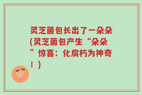 灵芝菌包长出了一朵朵(灵芝菌包产生“朵朵”惊喜:化腐朽为神奇!)-第1张图片-超越 灵芝菌包长出了一朵朵(灵芝菌包产生“朵朵”惊喜:化腐朽为神奇!)-第1张图片-超越