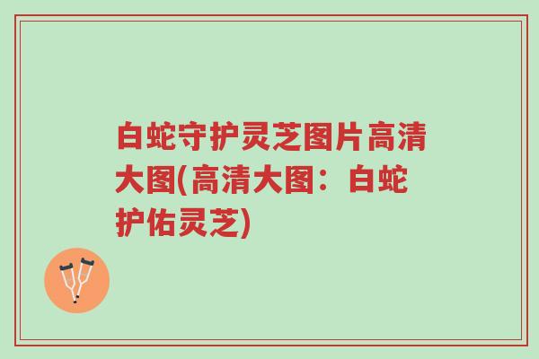 白蛇守护灵芝图片高清大图(高清大图:白蛇护佑灵芝)-第1张图片-超越 白蛇守护灵芝图片高清大图(高清大图:白蛇护佑灵芝)-第1张图片-超越