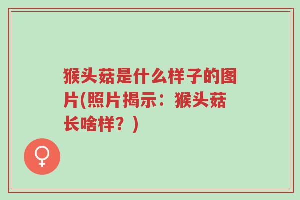 猴头菇是什么样子的图片(照片揭示:猴头菇长啥样?)-第1张图片-超越 猴头菇是什么样子的图片(照片揭示:猴头菇长啥样?)-第1张图片-超越