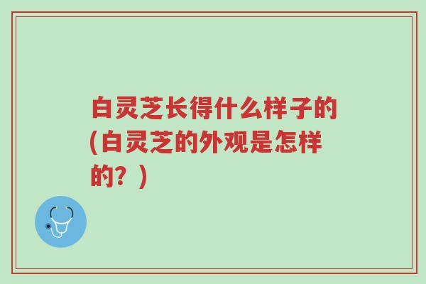 白灵芝长得什么样子的(白灵芝的外观是怎样的?)-第1张图片-超越 白灵芝长得什么样子的(白灵芝的外观是怎样的?)-第1张图片-超越