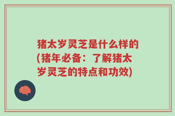猪太岁灵芝是什么样的(猪年必备：了解猪太岁灵芝的特点和功效)-第1张图片-超越