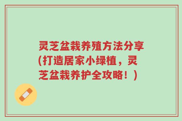 灵芝盆栽养殖方法分享(打造居家小绿植，灵芝盆栽养护全攻略！)-第1张图片-超越