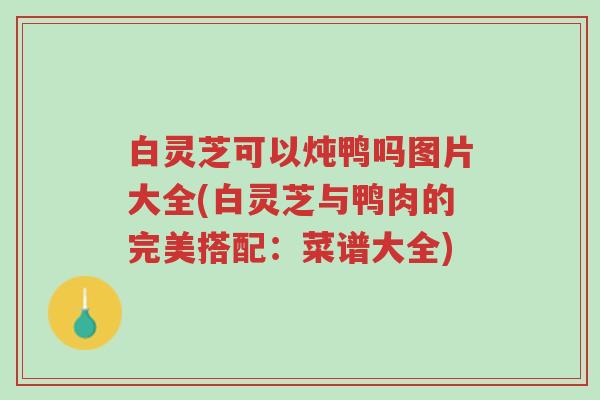 白灵芝可以炖鸭吗图片大全(白灵芝与鸭肉的完美搭配：菜谱大全)-第1张图片-超越