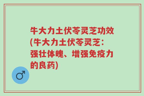 牛大力土伏苓灵芝功效(牛大力土伏苓灵芝：强壮体魄、增强免疫力的良药)-第1张图片-超越