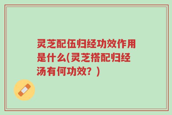 灵芝配伍归经功效作用是什么(灵芝搭配归经汤有何功效?)-第1张图片-超越 灵芝配伍归经功效作用是什么(灵芝搭配归经汤有何功效?)-第1张图片-超越