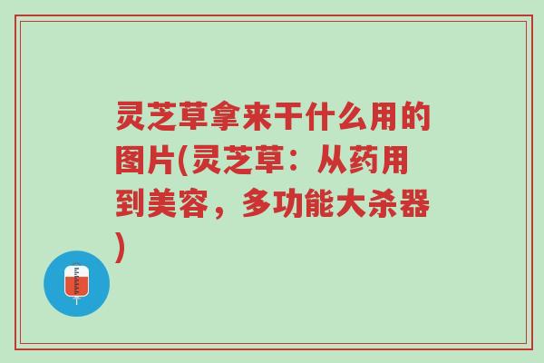 灵芝草拿来干什么用的图片(灵芝草:从药用到美容,多功能大杀器)-第1张图片-超越 灵芝草拿来干什么用的图片(灵芝草:从药用到美容,多功能大杀器)-第1张图片-超越