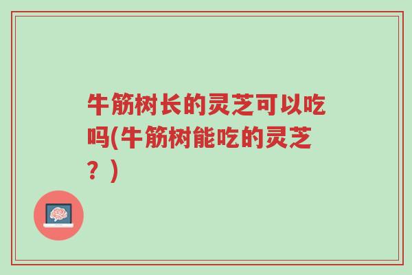 牛筋树长的灵芝可以吃吗(牛筋树能吃的灵芝?)-第1张图片-超越 牛筋树长的灵芝可以吃吗(牛筋树能吃的灵芝?)-第1张图片-超越