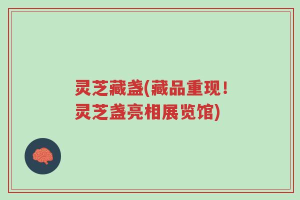 灵芝藏盏(藏品重现!灵芝盏亮相展览馆)-第1张图片-超越 灵芝藏盏(藏品重现!灵芝盏亮相展览馆)-第1张图片-超越