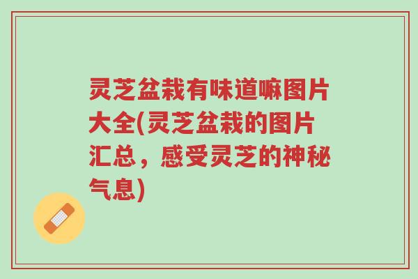 灵芝盆栽有味道嘛图片大全(灵芝盆栽的图片汇总,感受灵芝的神秘气息)-第1张图片-超越 灵芝盆栽有味道嘛图片大全(灵芝盆栽的图片汇总,感受灵芝的神秘气息)-第1张图片-超越