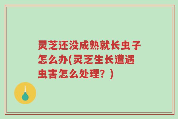 灵芝还没成熟就长虫子怎么办(灵芝生长遭遇虫害怎么处理?)-第1张图片-超越 灵芝还没成熟就长虫子怎么办(灵芝生长遭遇虫害怎么处理?)-第1张图片-超越