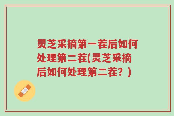 灵芝采摘第一茬后如何处理第二茬(灵芝采摘后如何处理第二茬?)-第1张图片-超越 灵芝采摘第一茬后如何处理第二茬(灵芝采摘后如何处理第二茬?)-第1张图片-超越