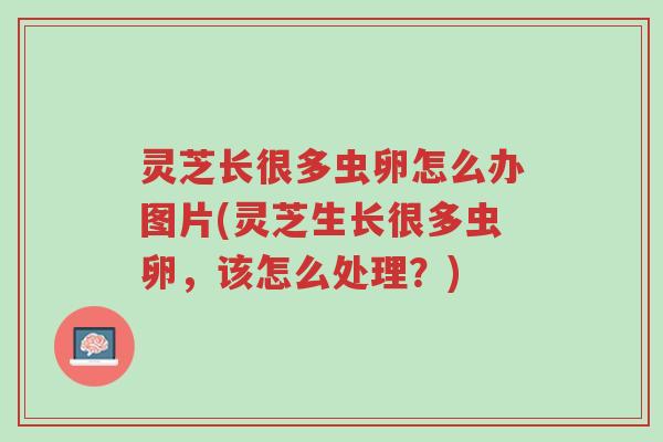 灵芝长很多虫卵怎么办图片(灵芝生长很多虫卵,该怎么处理?)-第1张图片-超越 灵芝长很多虫卵怎么办图片(灵芝生长很多虫卵,该怎么处理?)-第1张图片-超越
