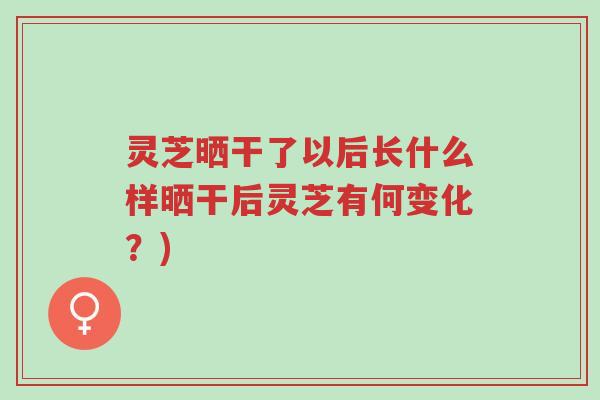 灵芝晒干了以后长什么样晒干后灵芝有何变化?)-第1张图片-超越 灵芝晒干了以后长什么样晒干后灵芝有何变化?)-第1张图片-超越