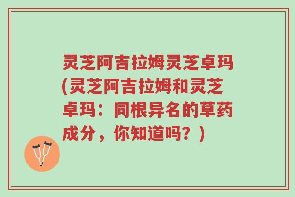 灵芝阿吉拉姆灵芝卓玛(灵芝阿吉拉姆和灵芝卓玛:同根异名的草药成分,你知道吗?)-第1张图片-超越 灵芝阿吉拉姆灵芝卓玛(灵芝阿吉拉姆和灵芝卓玛:同根异名的草药成分,你知道吗?)-第1张图片-超越