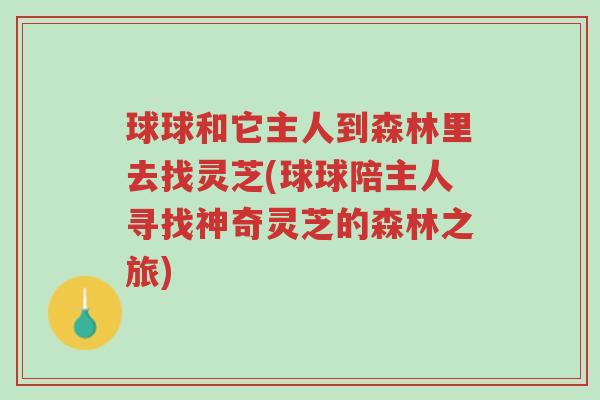 球球和它主人到森林里去找灵芝(球球陪主人寻找神奇灵芝的森林之旅)-第1张图片-超越 球球和它主人到森林里去找灵芝(球球陪主人寻找神奇灵芝的森林之旅)-第1张图片-超越