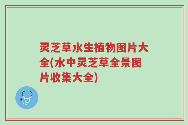 灵芝草水生植物图片大全(水中灵芝草全景图片收集大全)-第1张图片-超越 灵芝草水生植物图片大全(水中灵芝草全景图片收集大全)-第1张图片-超越