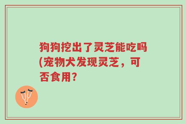 狗狗挖出了灵芝能吃吗(宠物犬发现灵芝,可否食用?-第1张图片-超越 狗狗挖出了灵芝能吃吗(宠物犬发现灵芝,可否食用?-第1张图片-超越