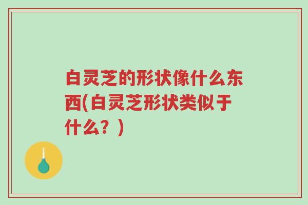 白灵芝的形状像什么东西(白灵芝形状类似于什么?)-第1张图片-超越 白灵芝的形状像什么东西(白灵芝形状类似于什么?)-第1张图片-超越