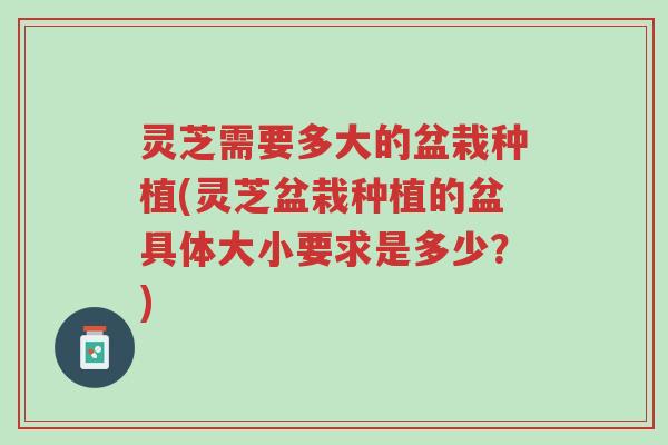 灵芝需要多大的盆栽种植(灵芝盆栽种植的盆具体大小要求是多少?)-第1张图片-超越 灵芝需要多大的盆栽种植(灵芝盆栽种植的盆具体大小要求是多少?)-第1张图片-超越