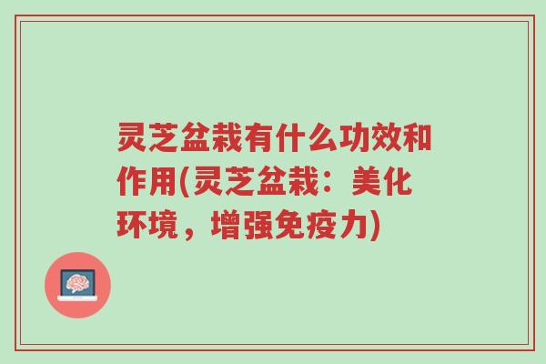 灵芝盆栽有什么功效和作用(灵芝盆栽:美化环境,增强免疫力)-第1张图片-超越 灵芝盆栽有什么功效和作用(灵芝盆栽:美化环境,增强免疫力)-第1张图片-超越