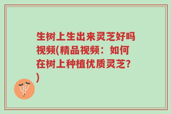 生树上生出来灵芝好吗视频(精品视频：如何在树上种植优质灵芝？)-第1张图片-超越