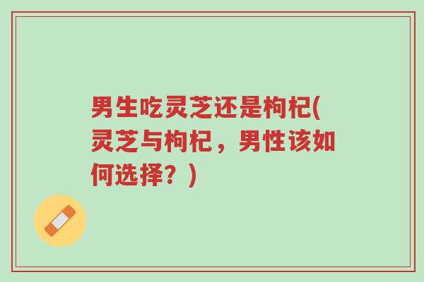 男生吃灵芝还是枸杞(灵芝与枸杞,男性该如何选择?)-第1张图片-超越 男生吃灵芝还是枸杞(灵芝与枸杞,男性该如何选择?)-第1张图片-超越
