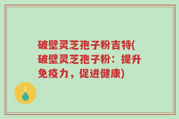 破壁灵芝孢子粉吉特(破壁灵芝孢子粉:提升免疫力,促进健康)-第1张图片-超越 破壁灵芝孢子粉吉特(破壁灵芝孢子粉:提升免疫力,促进健康)-第1张图片-超越