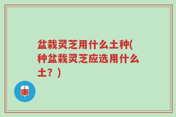 盆栽灵芝用什么土种(种盆栽灵芝应选用什么土?)-第1张图片-超越 盆栽灵芝用什么土种(种盆栽灵芝应选用什么土?)-第1张图片-超越