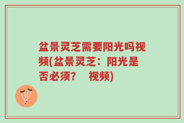 盆景灵芝需要阳光吗视频(盆景灵芝:阳光是否必须? 视频)-第1张图片-超越 盆景灵芝需要阳光吗视频(盆景灵芝:阳光是否必须? 视频)-第1张图片-超越