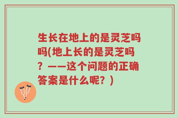 生长在地上的是灵芝吗吗(地上长的是灵芝吗?——这个问题的正确答案是什么呢?)-第1张图片-超越 生长在地上的是灵芝吗吗(地上长的是灵芝吗?——这个问题的正确答案是什么呢?)-第1张图片-超越