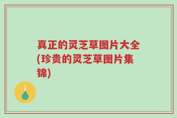 真正的灵芝草图片大全(珍贵的灵芝草图片集锦)-第1张图片-超越 真正的灵芝草图片大全(珍贵的灵芝草图片集锦)-第1张图片-超越