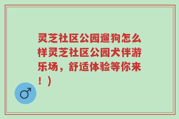 灵芝社区公园遛狗怎么样灵芝社区公园犬伴游乐场,舒适体验等你来!)-第1张图片-超越 灵芝社区公园遛狗怎么样灵芝社区公园犬伴游乐场,舒适体验等你来!)-第1张图片-超越