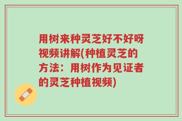 用树来种灵芝好不好呀视频讲解(种植灵芝的方法:用树作为见证者的灵芝种植视频)-第1张图片-超越 用树来种灵芝好不好呀视频讲解(种植灵芝的方法:用树作为见证者的灵芝种植视频)-第1张图片-超越