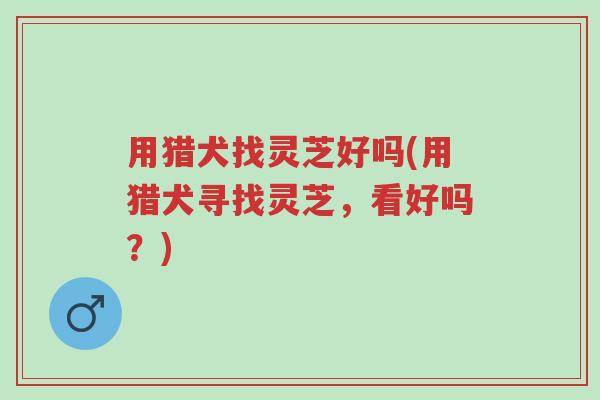 用猎犬找灵芝好吗(用猎犬寻找灵芝,看好吗?)-第1张图片-超越 用猎犬找灵芝好吗(用猎犬寻找灵芝,看好吗?)-第1张图片-超越