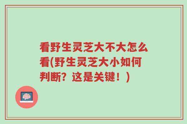 看野生灵芝大不大怎么看(野生灵芝大小如何判断?这是关键!)-第1张图片-超越 看野生灵芝大不大怎么看(野生灵芝大小如何判断?这是关键!)-第1张图片-超越