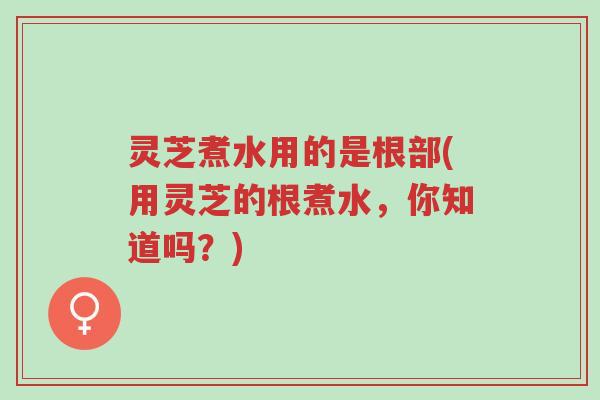 灵芝煮水用的是根部(用灵芝的根煮水,你知道吗?)-第1张图片-超越 灵芝煮水用的是根部(用灵芝的根煮水,你知道吗?)-第1张图片-超越