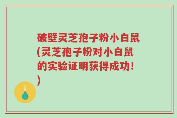破壁灵芝孢子粉小白鼠(灵芝孢子粉对小白鼠的实验证明获得成功!)-第1张图片-超越 破壁灵芝孢子粉小白鼠(灵芝孢子粉对小白鼠的实验证明获得成功!)-第1张图片-超越