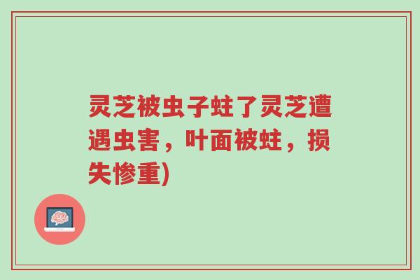 灵芝被虫子蛀了灵芝遭遇虫害,叶面被蛀,损失惨重)-第1张图片-超越 灵芝被虫子蛀了灵芝遭遇虫害,叶面被蛀,损失惨重)-第1张图片-超越